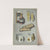 Toiletry items made by Eli Lilly & Company by Eli Lilly & Company