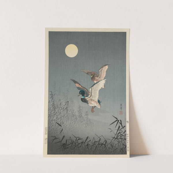 Tokyo Views; Ducks by Tsuchiya Kōitsu