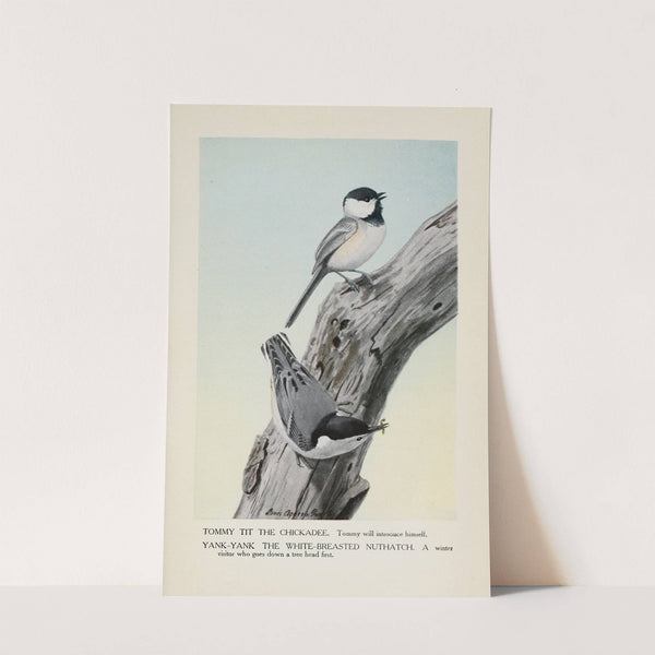 Tommy Tit the Chickadee, Yank-Yank the White-Breasted Nuthatch by Louis Agassiz Fuertes