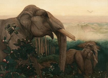 Toomai Of The Elephants — size preview