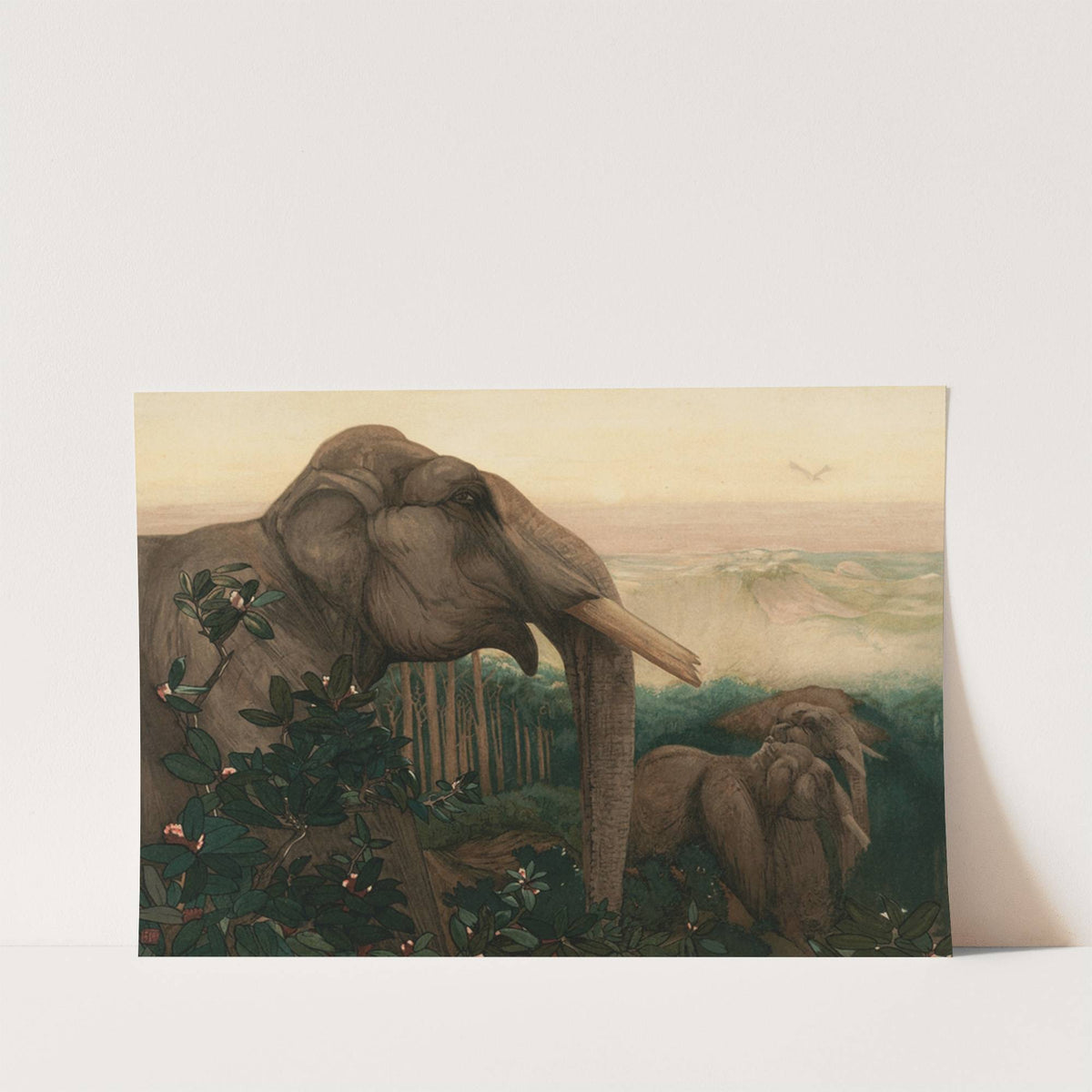 Toomai Of The Elephants by Charles Maurice Detmold
