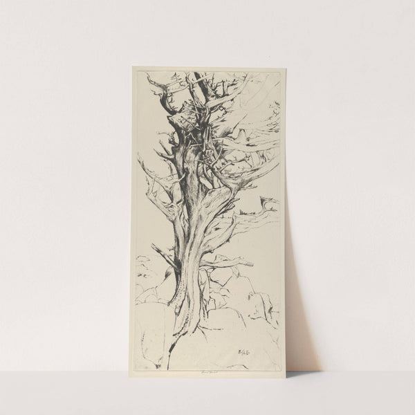 Torse of the Witch (1900-1925) by Ernest Haskell