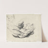 Torso by David Humbert de Superville