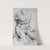 Torso. Belvedere. Front view of the antique sculpture. by Willem Panneels