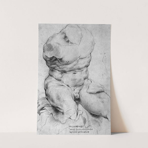 Torso. Belvedere. Front view of the antique sculpture. by Willem Panneels