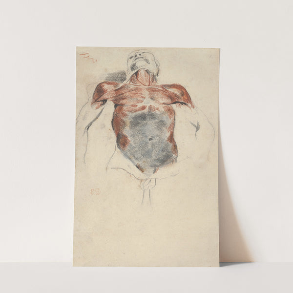 Torso of a Male Cadaver (1828) by Eugène Delacroix