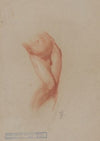 Torso of a male nude