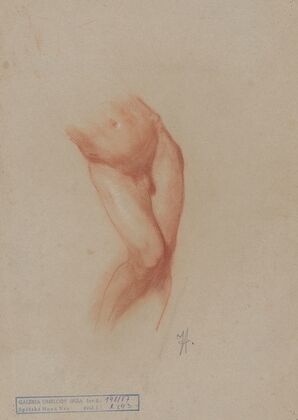 Torso of a male nude
