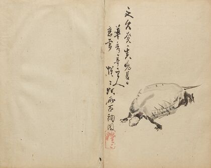 Tortoise (1800s)