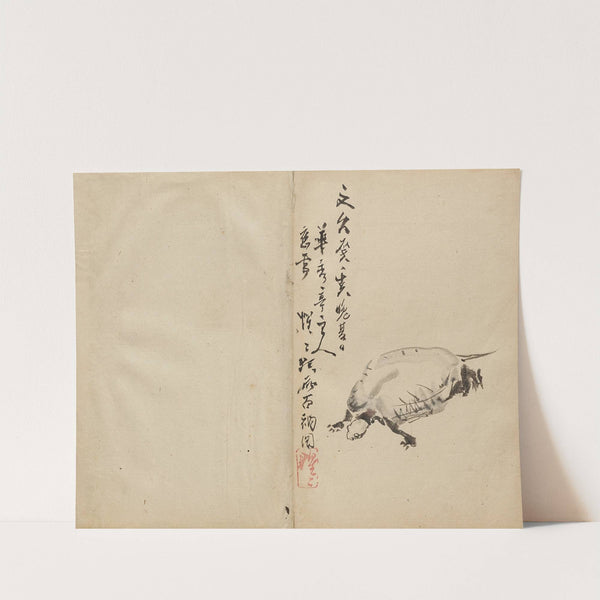 Tortoise (1800s) by Kawanabe Kyōsai