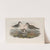 Totanus calidris. Redshank. (1862-1873) by John Gould