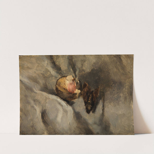 Totenkopfschmetterling mit Pilz auf weißem Tuch by Wilhelm Leibl
