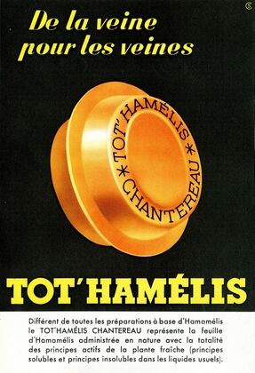Tot’Hamélis (1910-1950)