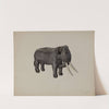 Toy Elephant by Orison Daeda