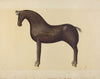 Toy Horse