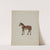 Toy Shetland Pony by Nicholas Acampora