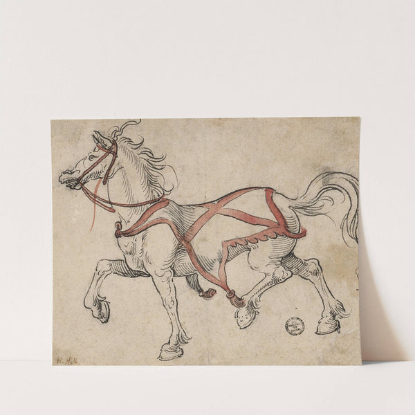 Trabendes Pferd by Hans Holbein The Younger