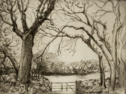 Tragenna Wood