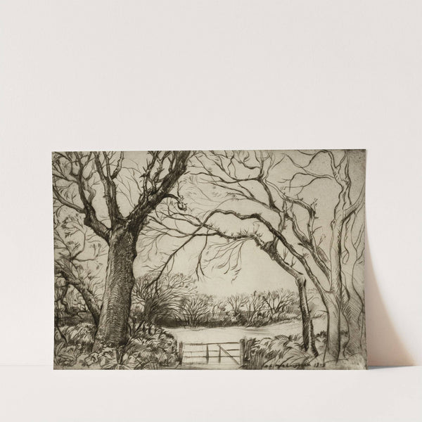 Tragenna Wood by Donald Shaw MacLaughlan