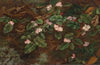 Trailing Arbutus (1863)