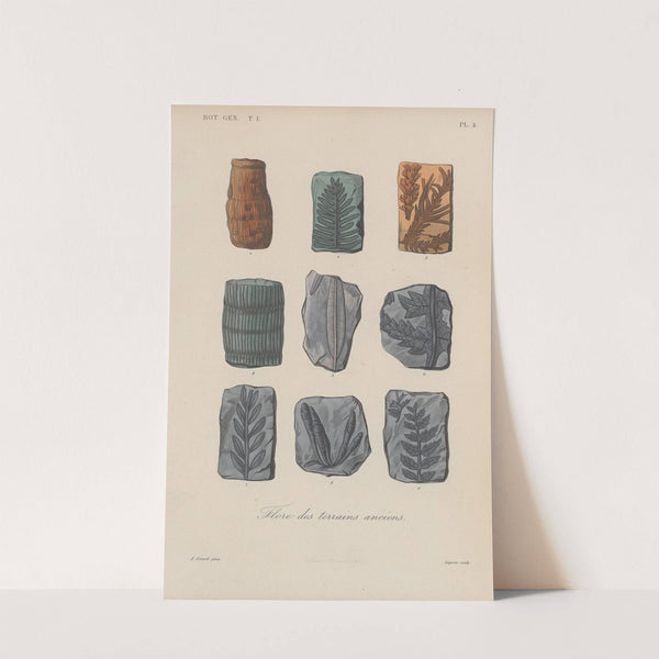 Traité de botanique générale Pl.004 by François Hérincq