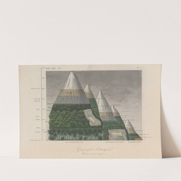 Traité de botanique générale Pl.007 by François Hérincq