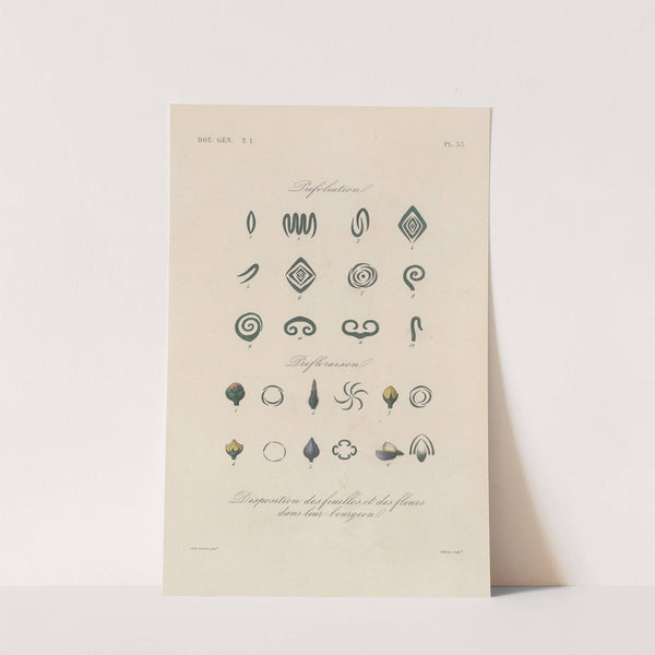 Traité de botanique générale Pl.034 by François Hérincq