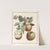 Traité des arbres fruitiers Pl.45 (1768) by Henri-Louis Duhamel du Monceau