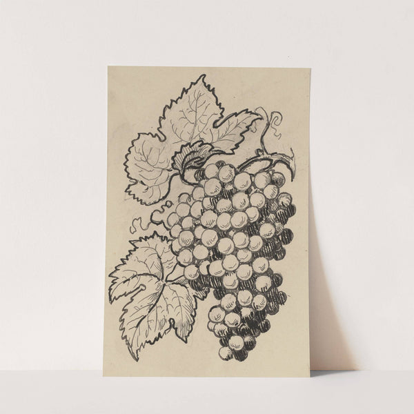 Traube (ca 1905) by Hans Thoma