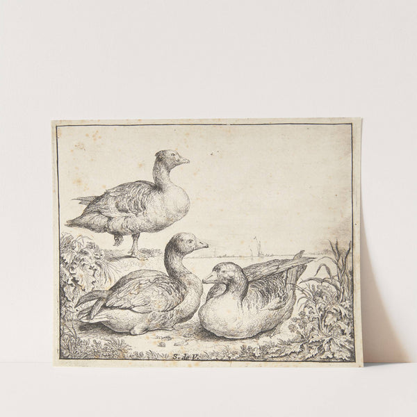 Tre gæs by Simon de Vlieger