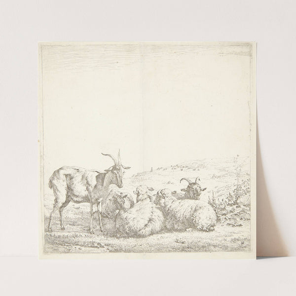 Tre geder og to får (1655) by Karel Dujardin