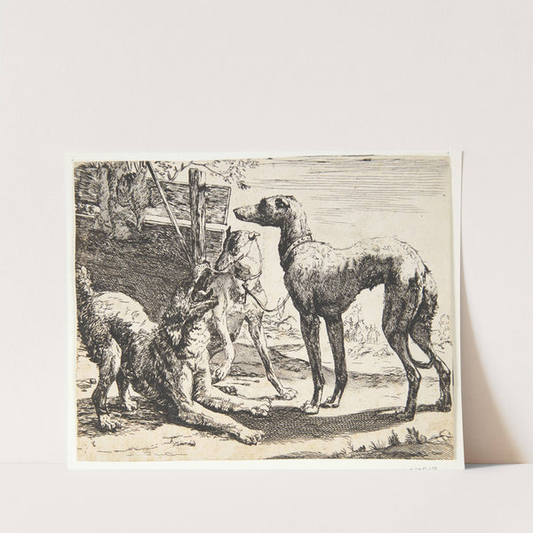 Tre hunde by Paulus van Hillegaert II