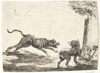 Tre hunde med et ådsel