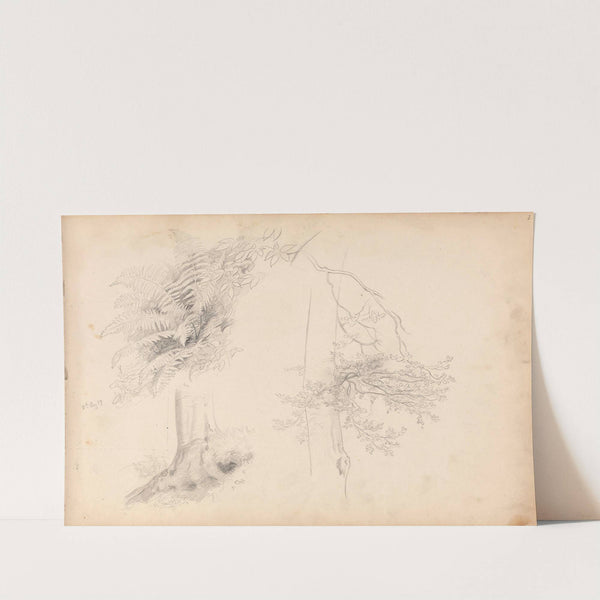 Tre- og plantestudier ved Laacher See by Hans Gude