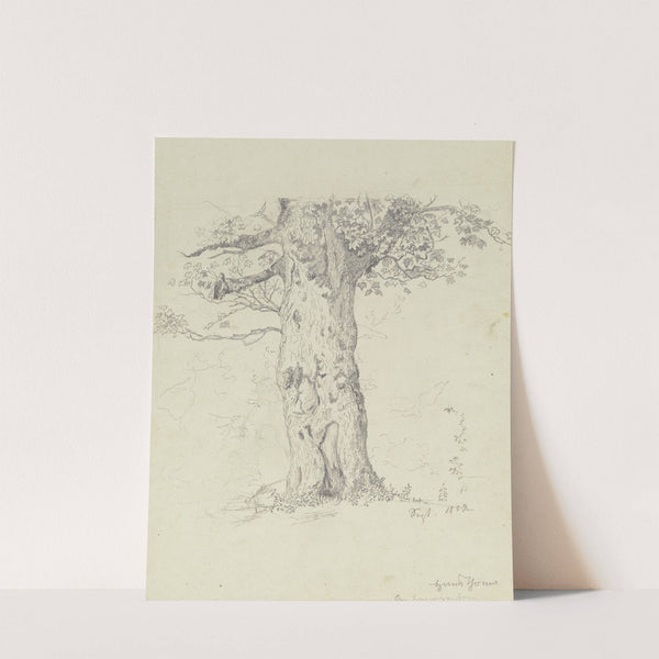 Tree (1859) by Hans Thoma