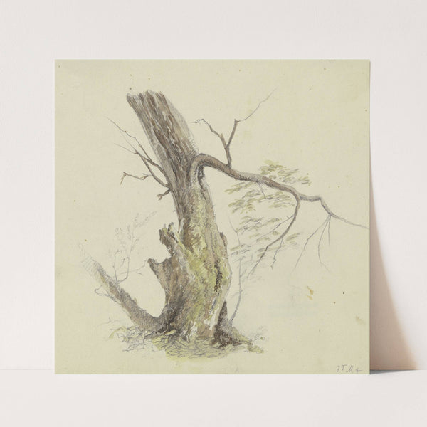 Tree by Johann Friedrich Morgenstern