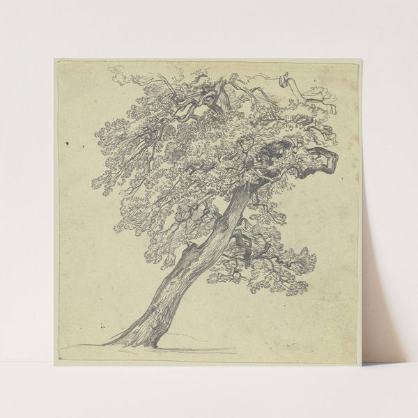 Tree by Jakob Becker