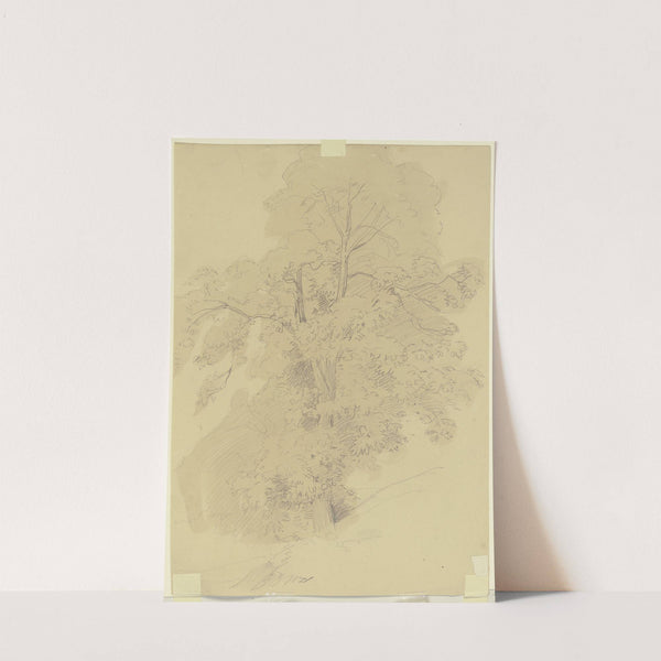 Tree by Jakob Becker