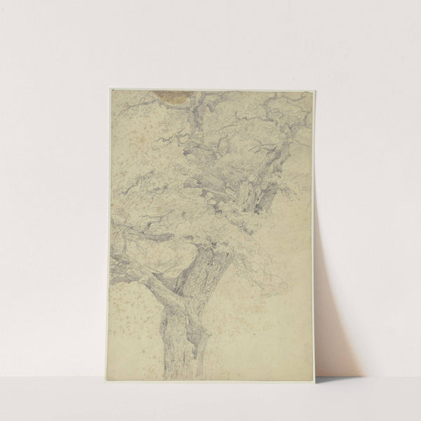 Tree by Jakob Becker