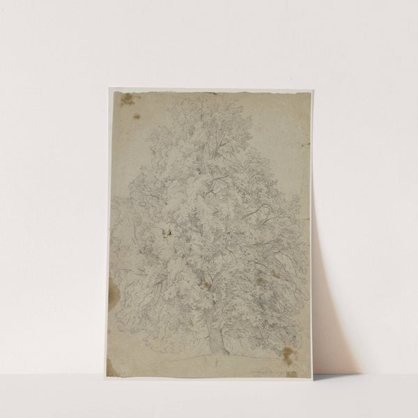 Tree (1841) by Jakob Becker