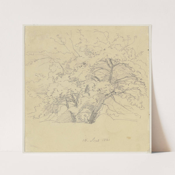 Tree (1841) by Jakob Becker