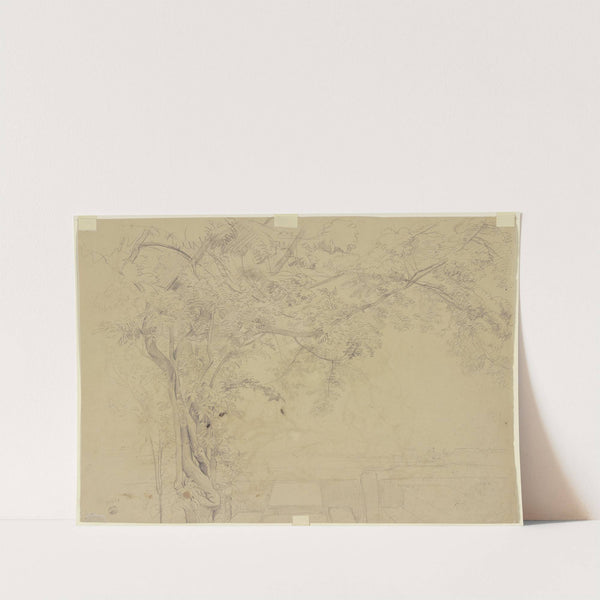 Tree (ca. 1856 – 1857) by Jakob Becker