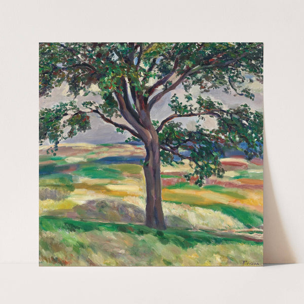 Tree (around 1912) by Jindrich Prucha