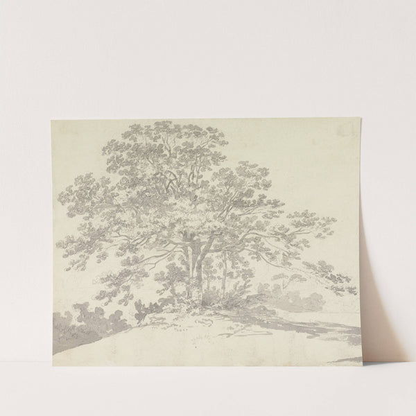 Tree by George Howland Beaumont