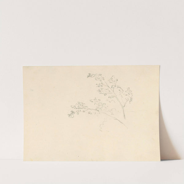 Tree Branches by Joseph Wright of Derby