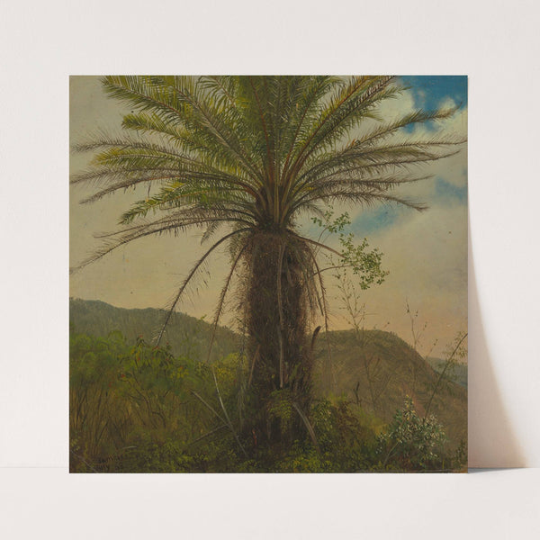 Tree Fern, Jamaica (1865) by Frederic Edwin Church