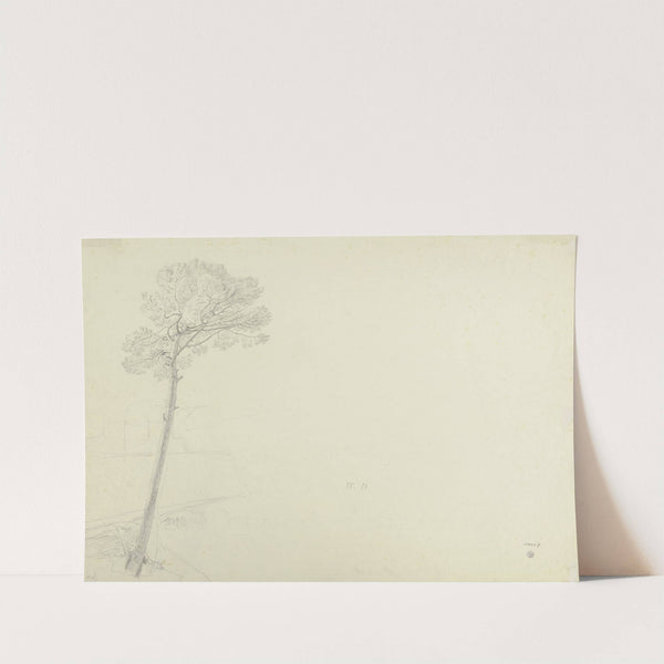 Tree in a landscape by Theodor Pelissier