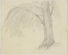 Half-Figure of an Old Woman with a Cap