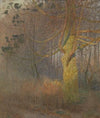 Tree in the sun (1900)