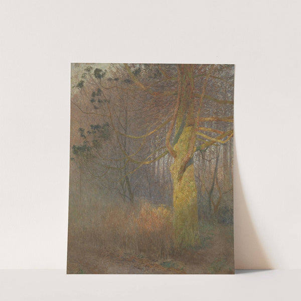 Tree in the sun (1900) by Emile Claus